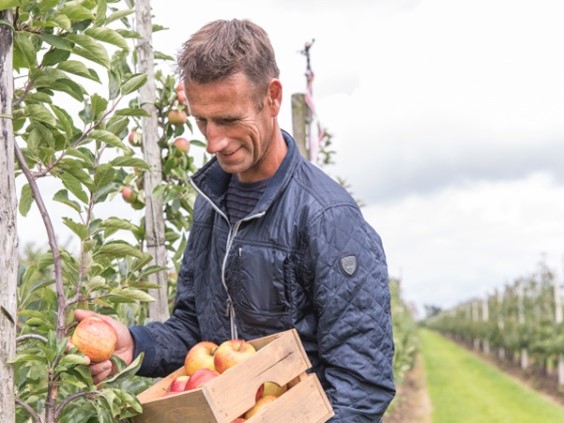 GJA Middelweerd - verse oogst Schalkwijk GJA Middelweerd - verse oogst Schalkwijk